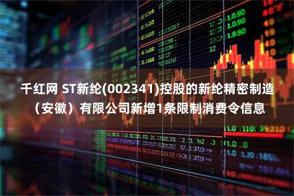 千红网 ST新纶(002341)控股的新纶精密制造（安徽）有限公司新增1条限制消费令信息