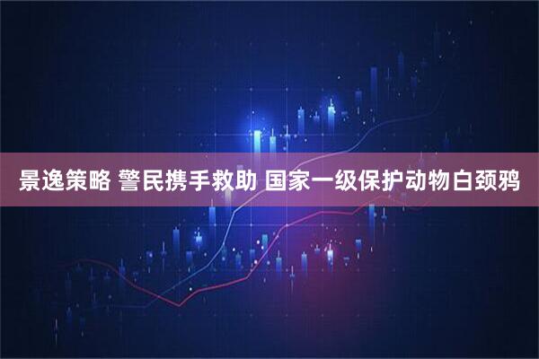 景逸策略 警民携手救助 国家一级保护动物白颈鸦