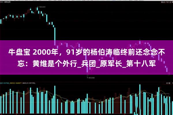 牛盘宝 2000年，91岁的杨伯涛临终前还念念不忘：黄维是个外行_兵团_原军长_第十八军