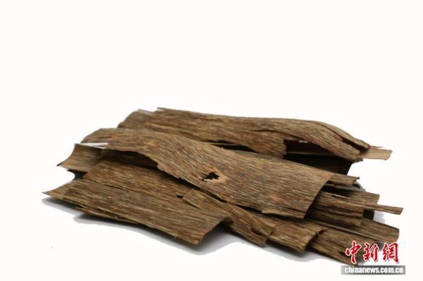 九鼎 海南产经观察：科技赋能沉香产业飘香世界